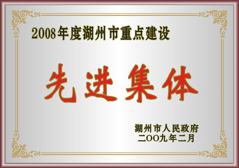 2008年度湖州市重點(diǎn)建設(shè)先進(jìn)集體