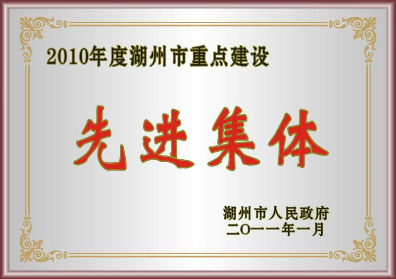 2010年度湖州市重點(diǎn)建設(shè)先進(jìn)集體